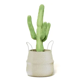 Cactusinwickerbasket